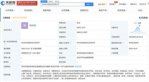 计算机信息技术咨询 理论指导与实践路径