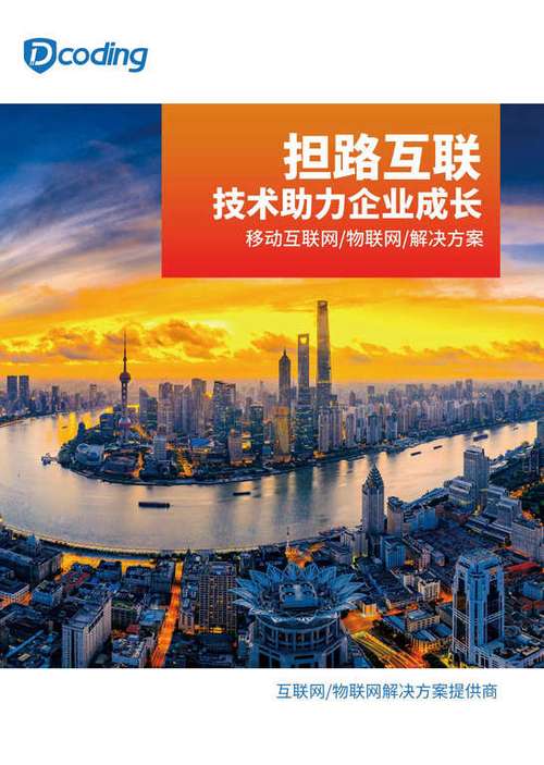 担路计算机信息技术